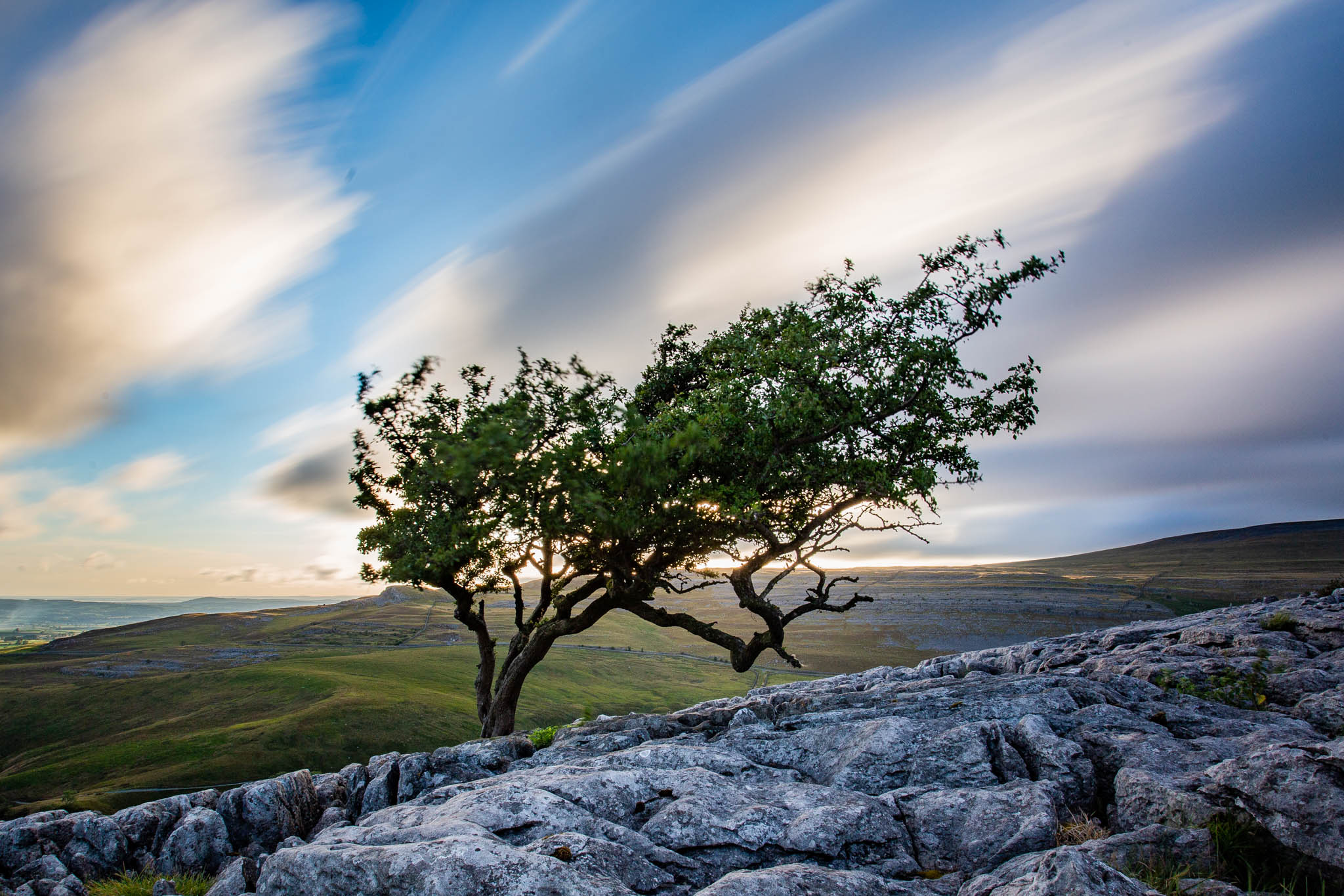 IMG_7149 tree on twistelton scar top and moving clouds