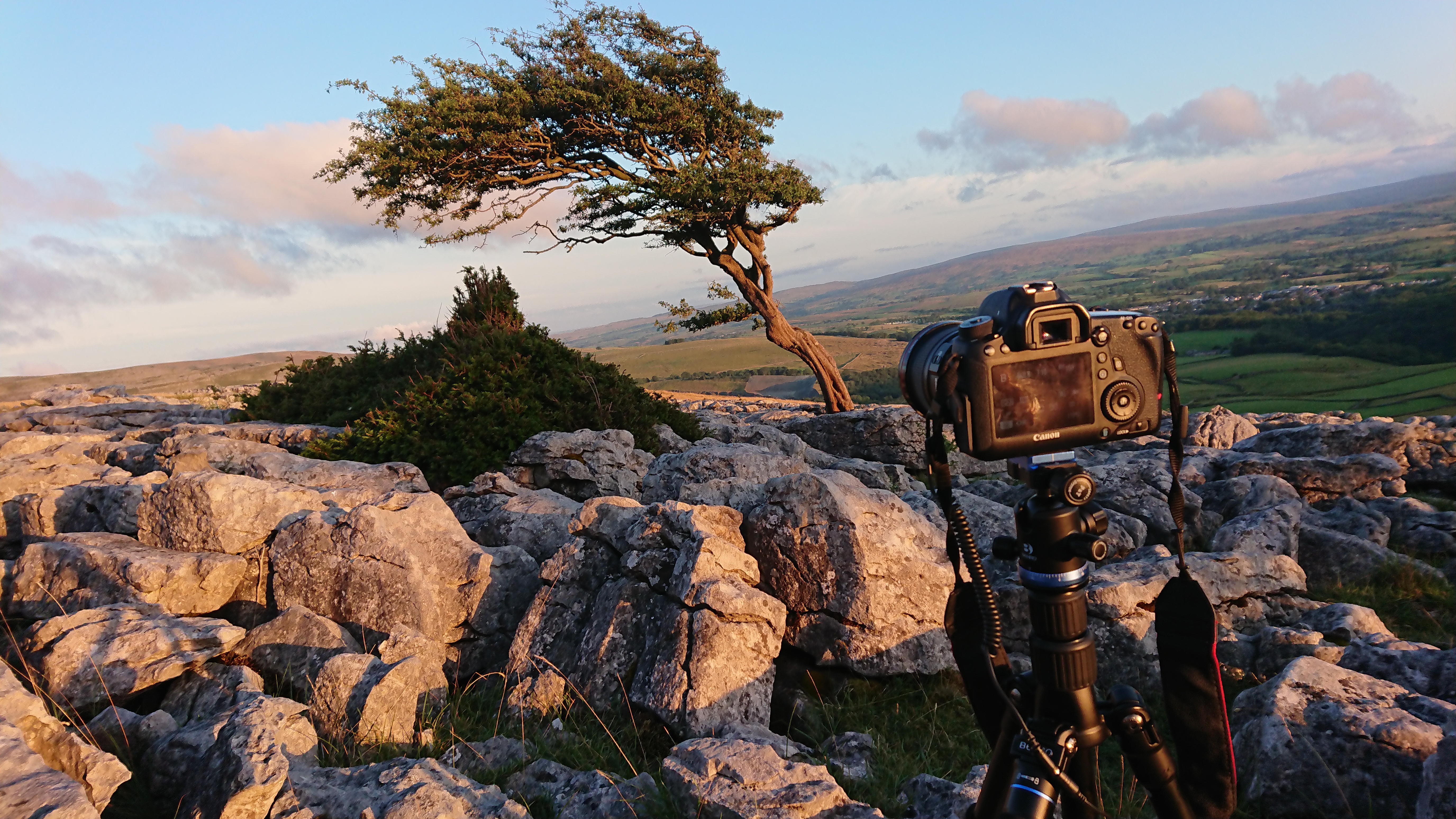 twistleton phone shot